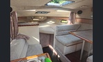 Bayliner 2655 Cierra Sunbridge-kuva-5